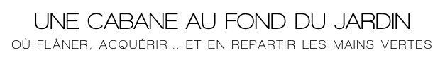 UNE CABANE AU FOND DU
