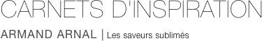 CARNETS D'INSPIRATION