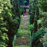 DomaineRayolAllee