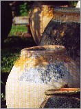 GalJarresBiotanciennes