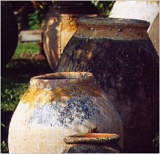 GalJarresBiotanciennes1