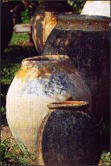GalJarresBiotanciennes1