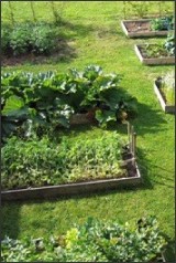 GalPotager2