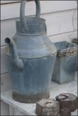 Galzinc1