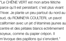 "Le CHÊNE VERT est mon