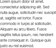 Lorem ipsum dolor sit amet,