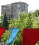 JardinConservatoiredesPlantesTinctoriales2