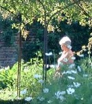JardinSissinghurst2