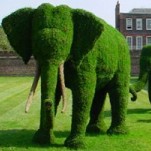 JardinTopiaire