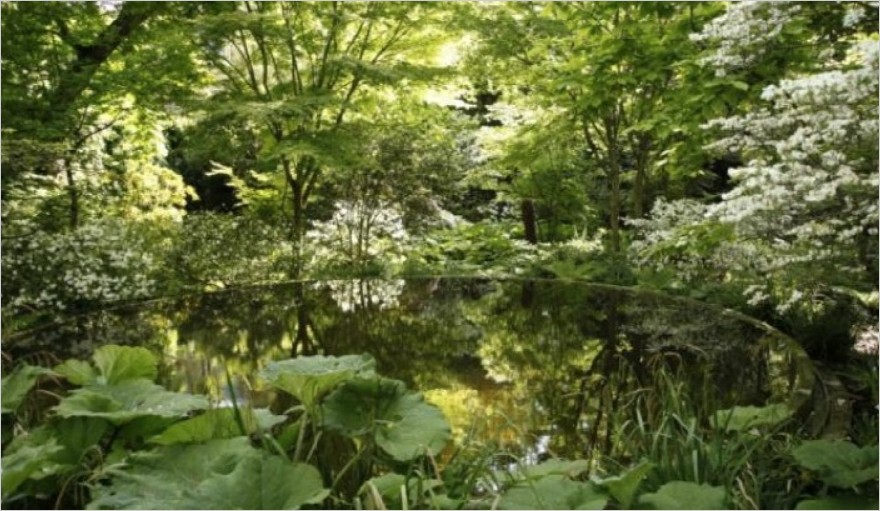 LB_AquarelleBosquetThéâtreEau