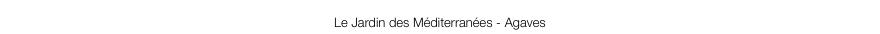 legende2