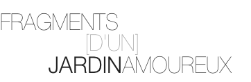 FRAGMENTS  	 	 	 	
