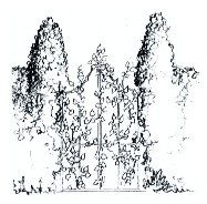LogoGrille