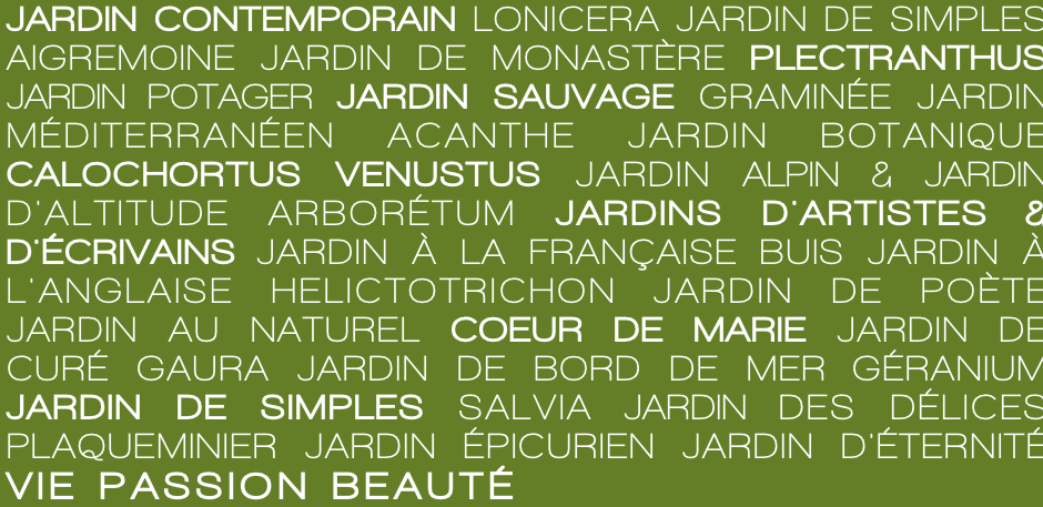 JARDIN CONTEMPORAIN LONICERA JARDIN DE