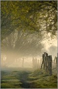 PinterestNatureSauvage