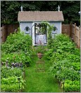 PinterestPotagerJardin