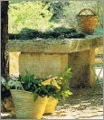 PinterestTable