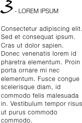 3 - LOREM IPSUM Consectetur adipiscing