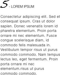 5 - LOREM IPSUM Consectetur adipiscing
