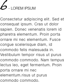 6 - LOREM IPSUM Consectetur adipiscing