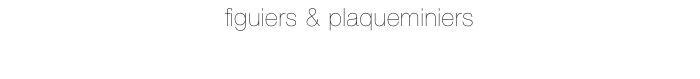 figuiers & plaqueminiers