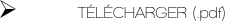   TÉLÉCHARGER (.pdf)