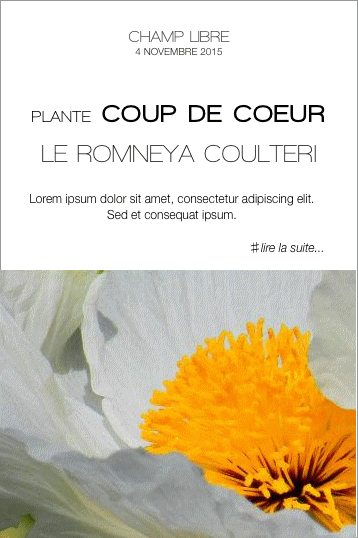 TexteChampLibre