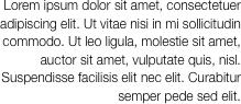Lorem ipsum dolor sit amet,