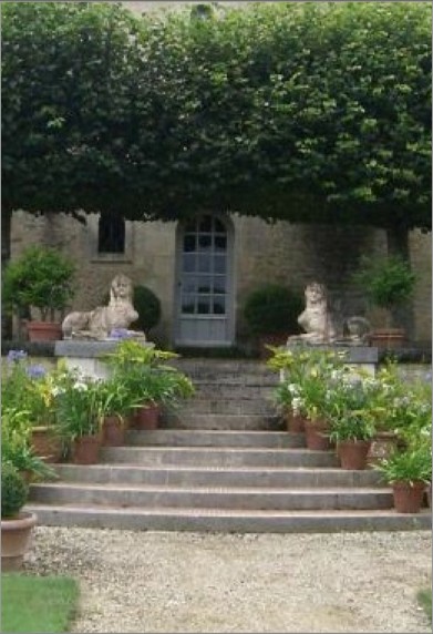 Thire_Terrasse arrière