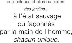 unjardin